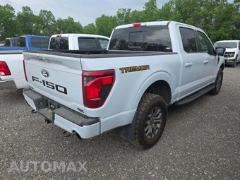 2025 Ford F-150 Tremor Crew Cab Short Bed - miniatura 3