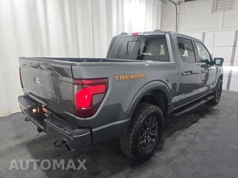 2025 Ford F-150 Tremor Crew Cab Short Bed - miniatura 4