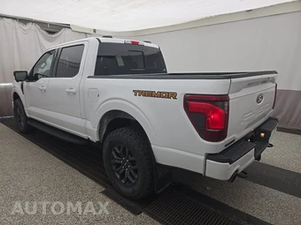 2025 Ford F-150 Tremor Crew Cab Short Bed - miniatura 6