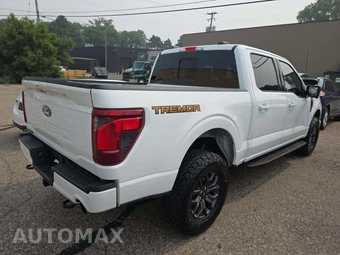 2025 Ford F-150 Tremor Crew Cab Short Bed - miniatura 3