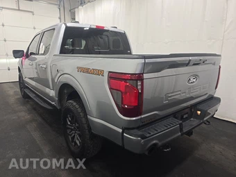 2025 Ford F-150 Tremor Crew Cab Short Bed - miniatura 6