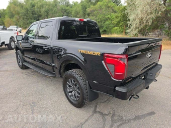 2025 Ford F-150 Tremor Crew Cab Short Bed - miniatura 2