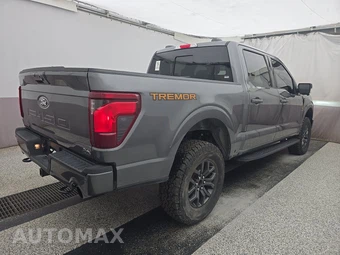 2025 Ford F-150 Tremor Crew Cab Short Bed - miniatura 4