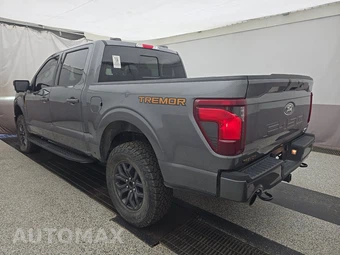 2025 Ford F-150 Tremor Crew Cab Short Bed - miniatura 6