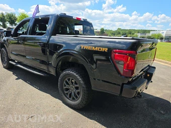 2025 Ford F-150 Tremor Crew Cab Short Bed - miniatura 2