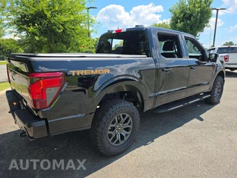 2025 Ford F-150 Tremor Crew Cab Short Bed - miniatura 3
