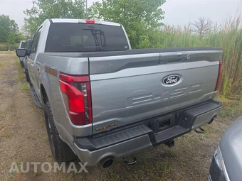 2025 Ford F-150 Tremor Crew Cab Short Bed - miniatura 5