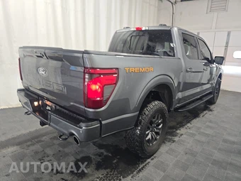 2025 Ford F-150 Tremor Crew Cab Short Bed - miniatura 4