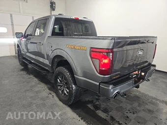 2025 Ford F-150 Tremor Crew Cab Short Bed - miniatura 6