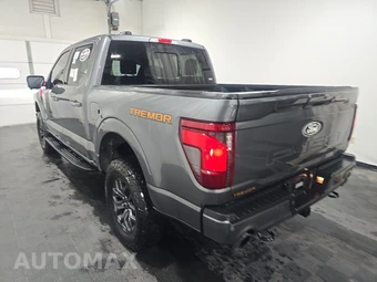 2025 Ford F-150 Tremor Crew Cab Short Bed - miniatura 6