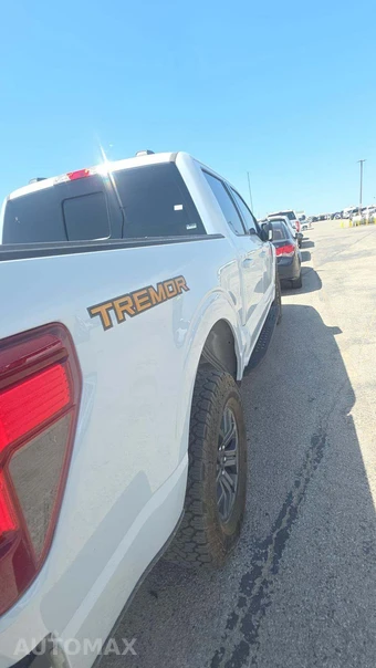 2025 Ford F-150 Tremor Crew Cab Short Bed - miniatura 20