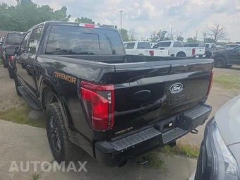 2025 Ford F-150 Tremor Crew Cab Short Bed - miniatura 5