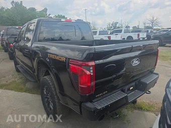2025 Ford F-150 Tremor Crew Cab Short Bed - miniatura 6