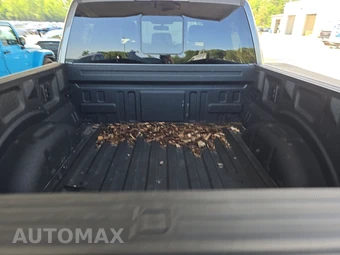 2025 Ford F-150 Tremor Crew Cab Short Bed - miniatura 16