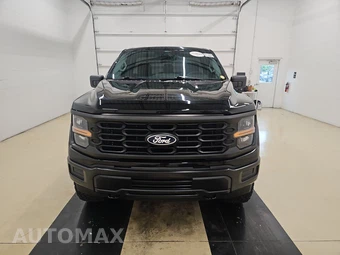 2025 Ford F-150 XL Regular Cab Medium Bed - miniatura 2