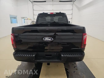 2025 Ford F-150 XL Regular Cab Medium Bed - miniatura 5