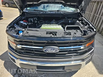 2025 Ford F-150 XLT Crew Cab Short Bed - miniatura 12