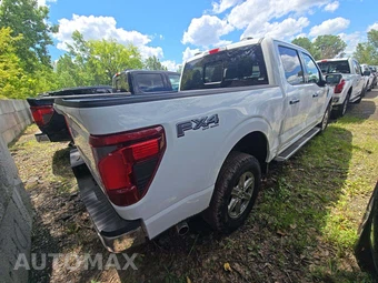 2025 Ford F-150 XLT Crew Cab Short Bed - miniatura 3