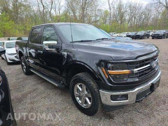 2025 Ford F-150 XLT Crew Cab Short Bed - miniatura 4