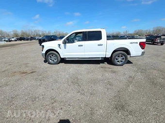 2025 Ford F-150 XLT Crew Cab Short Bed - miniatura 3