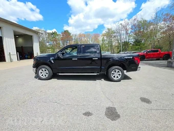 2025 Ford F-150 XLT Crew Cab Short Bed - miniatura 3