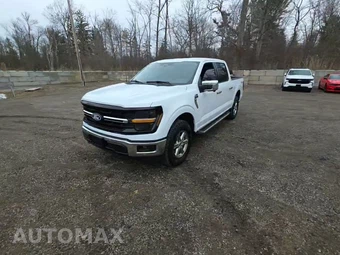 2025 Ford F-150 XLT Crew Cab Short Bed