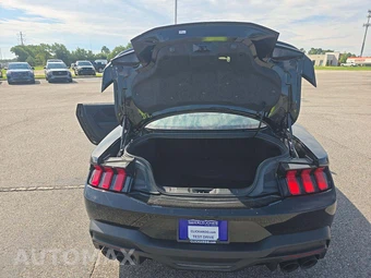 2025 Ford Mustang Dark Horse Coupe - miniatura 11