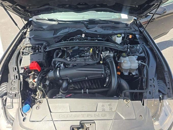 2025 Ford Mustang EcoBoost Premium Convertible - miniatura 22