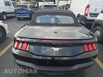 2025 Ford Mustang EcoBoost Premium Convertible - miniatura 5