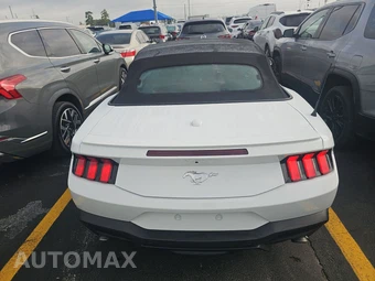 2025 Ford Mustang EcoBoost Premium Convertible - miniatura 5