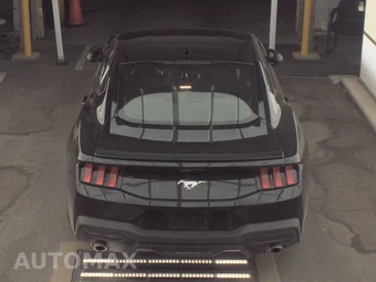 2025 Ford Mustang EcoBoost Premium Coupe - miniatura 6