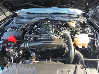 2025 Ford Mustang EcoBoost Premium Coupe - miniatura 15