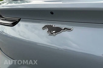 2025 Ford Mustang Mach-E Premium - miniatura 17
