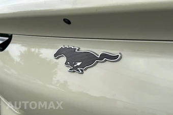 2025 Ford Mustang Mach-E Select - miniatura 15