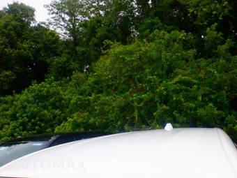 2025 GMC Terrain Elevation 3SB - miniatura 2
