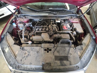 2025 Honda CR-V EX-L - miniatura 15