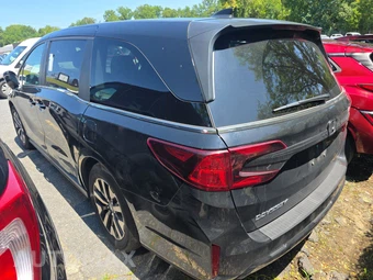 2025 Honda Odyssey EX-L 118.1" WB - miniatura 6