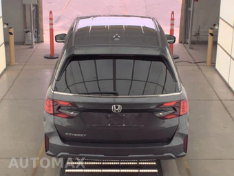2025 Honda Odyssey EX-L 118.1" WB - miniatura 5