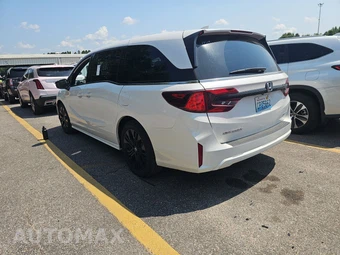 2025 Honda Odyssey Sport L 118.1" WB - miniatura 6