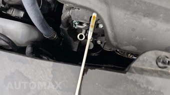 2025 Honda Odyssey Sport L 118.1" WB - miniatura 19
