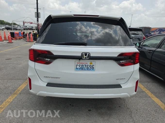 2025 Honda Odyssey Sport L 118.1" WB - miniatura 5