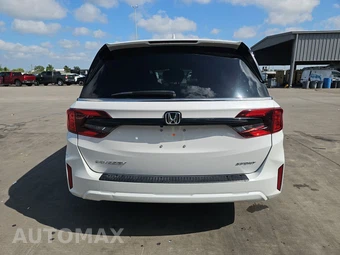 2025 Honda Odyssey Sport L 118.1" WB - miniatura 5