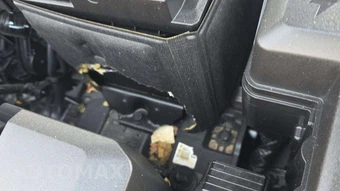 2025 Hyundai Elantra SEL Convenience - miniatura 24