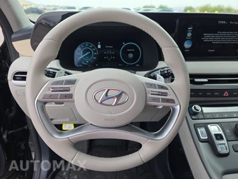 2025 Hyundai Palisade Limited - miniatura 10