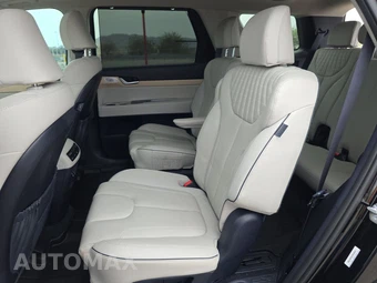 2025 Hyundai Palisade Limited - miniatura 13