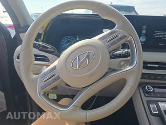 2025 Hyundai Palisade Limited - miniatura 10