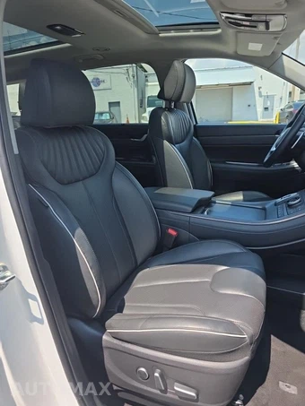 2025 Hyundai Palisade Limited - miniatura 25