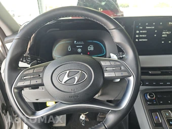 2025 Hyundai Palisade SEL - miniatura 10