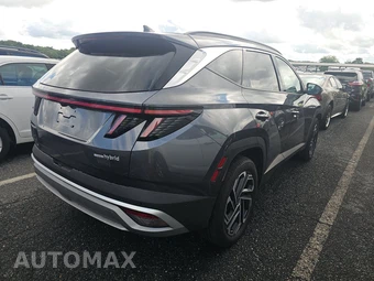 2025 Hyundai Tucson Hybrid Limited - miniatura 4