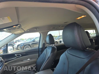 2025 Kia Carnival MPV LXS 121.7" WB - miniatura 19